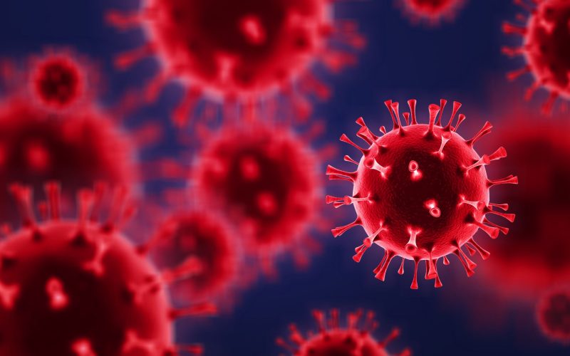Omutare genetică minusculă: Cum sar virușii de la lilieci la noi