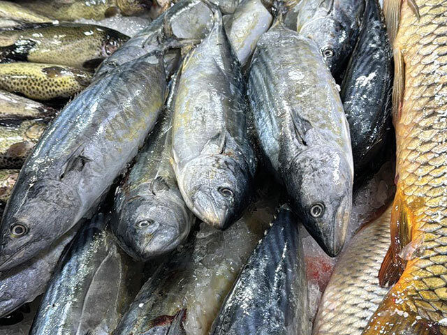 Pescicultorul din Botoșani, 300 tone pește: „Competiția din import ne sufocă”