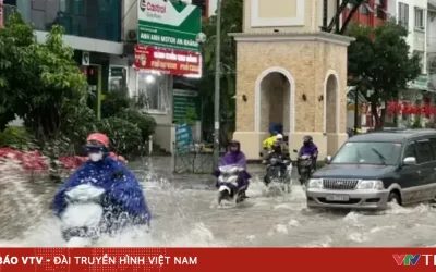 Vânturi în Vietnamul de Nord, soare în Centru