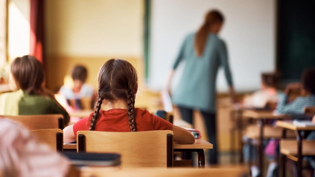 Burse sociale și-n vacanțe? Ce se schimbă după scandalul de zilele trecute