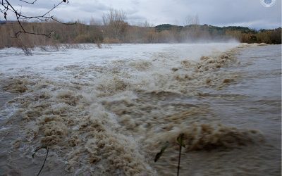 Cod galben pe râuri: 21 județe sub cod, Argeș și Prahova, în vizor