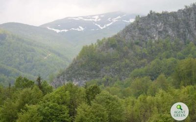 AUR vs. Mediu: 500.000 lei alocați pentru biodiversitate
