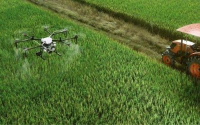 Agricultura pe profit, nu pe noroc