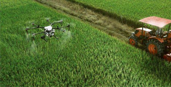 Agricultura pe profit, nu pe noroc