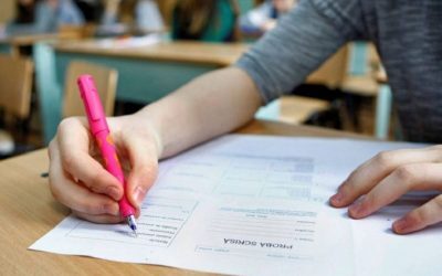 Subiecte Română BAC 2026 Toamnă: Real vs Uman Subiect III