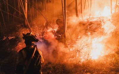 Incendii devastatoare în Valencia, cod roșu de vegetație