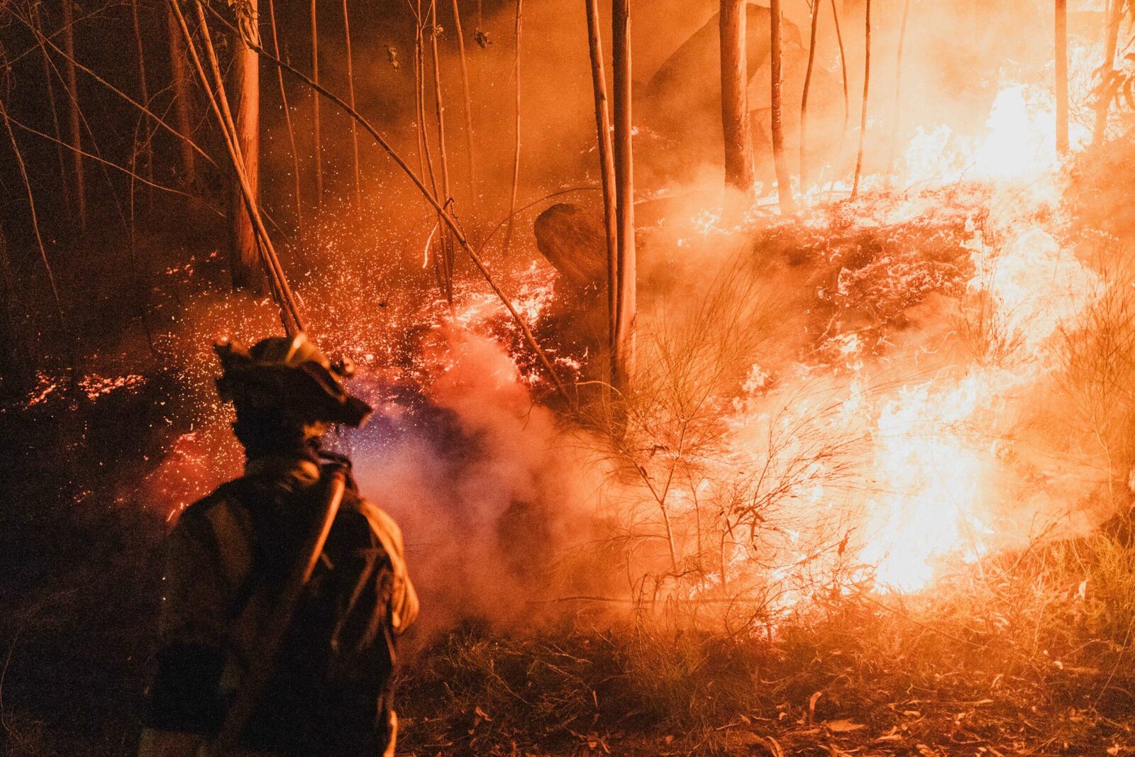 Incendii devastatoare în Valencia, cod roșu de vegetație