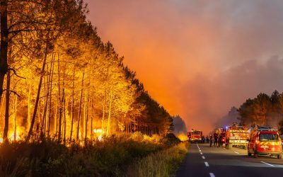 Europa de Vest, sub asalt: Iulie, record de căldură extremă