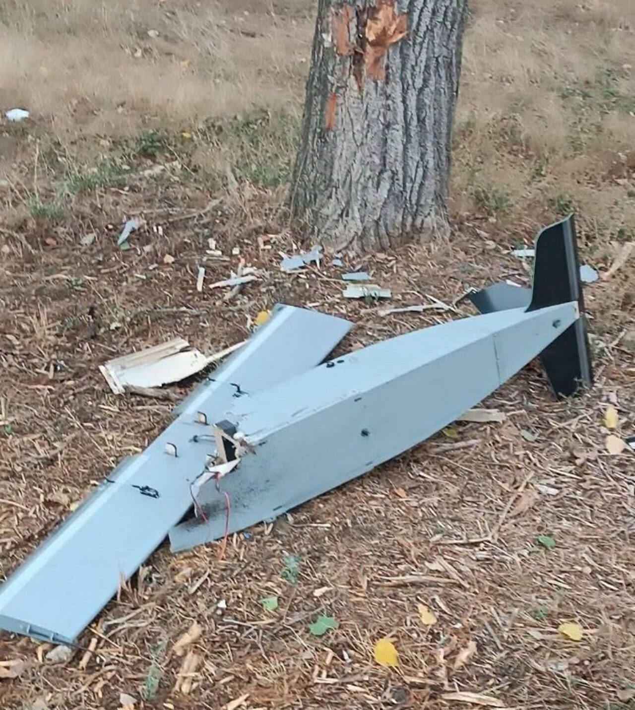 Drone deasupra Chișinăului: Incident aerian în ziua Independenței