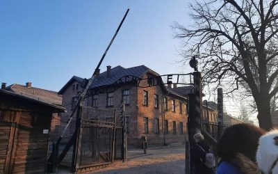 Extremist polonez, negarea Holocaustului: „Camere de gazare false” la Auschwitz