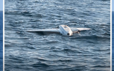 Radu Miruță: România, două drone Gerbera, distruse la Neptun Deep
