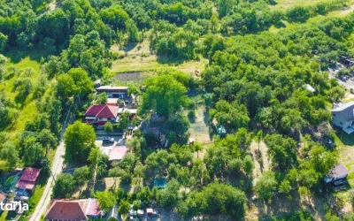 Comună românească oferă gratuit terenuri. Familii primesc prioritate