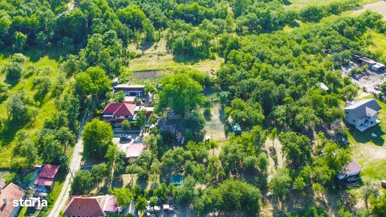 Comună românească oferă gratuit terenuri. Familii primesc prioritate