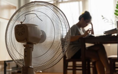 Răcoare-n casă, fără AC: Trucuri vechi, tot la modă