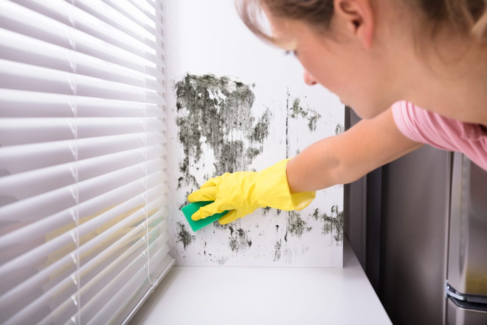 Mucegai și Condens Vara: Greșeli Aer Condiționat