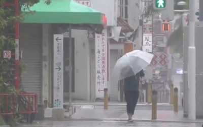 Typhoon Dolphin hits parts of southern Japan