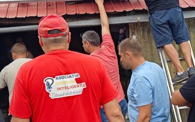 Case izolate electrificate: Sute de români au primit energie