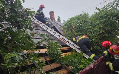 Furtună: Acoperișuri smulse, copaci doborâți