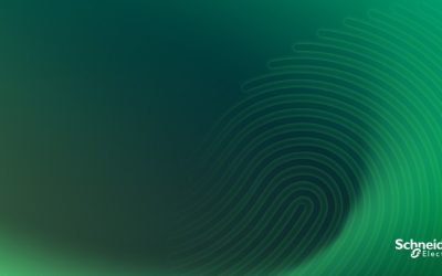 Schneider Electric: Succes evident sub planul de sustenabilitate