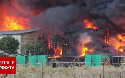 Incendiu puternic la un centru de colectare a maselor plastice, în Lumina. A fost emis RO-Alert din cauza fumului gros