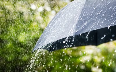 București/Ilfov: Caniculă și vijelii simultan, coduri de alertă