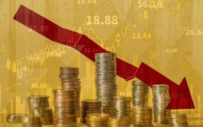 Economia se clatină: Consilier prezidențial anunță recesiune