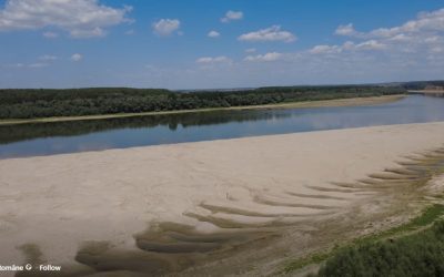 Dunărea, ultima barjă scufundată spre Cernavodă