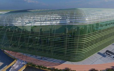 Stadionul Dan Păltinișanu, decizie finală la Guvern