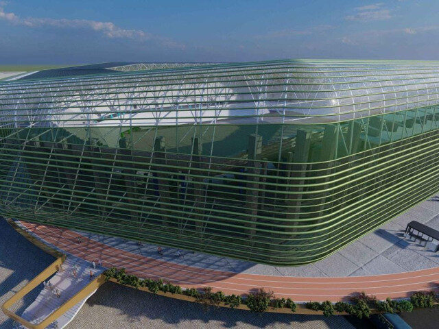 Stadionul Dan Păltinișanu, decizie finală la Guvern