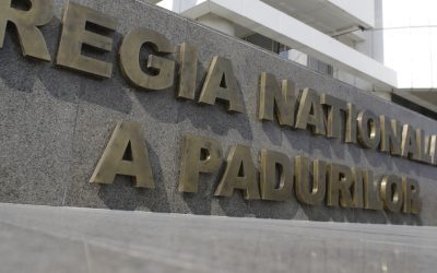 Romsilva, sute de achiziții, ANAP cere explicații
