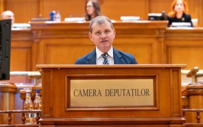 ANI, soți non-oficiali: Legea AUR explicată de deputat
