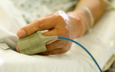 West Nile: 10 cazuri. Guvernul impune noi măsuri stricte