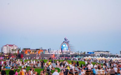 NIBIRU și un record mondial la aripioare de pui LaProvincia