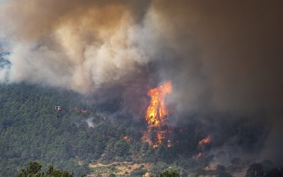 Alertă MAE: Focul face ravagii în Valencia. Riscuri majore