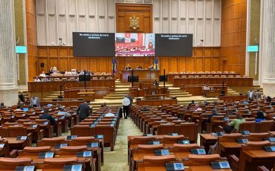 ANI, votată cu PSD și AUR: Puțini deputați, decizie majoră
