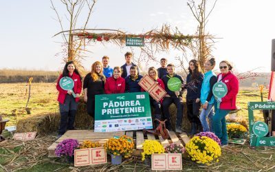 Companii, investiții sociale: Viața comunităților prinde contur