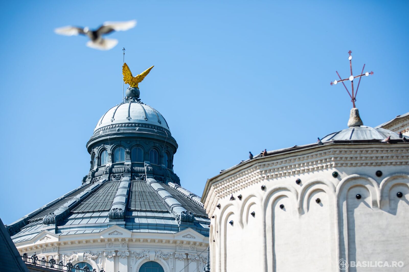 Patriarhia Română îndeamnă la sprijinirea persoanelor afectate de caniculă