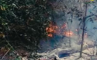 Incendiu puternic de pădure în apropiere de Plauru. Romsilva: „Cauza cea mai probabilă” ar fi explozia unei drone