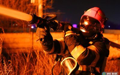 Top 10 meserii „robot-proof”: Niciun job de birou nu e pe listă