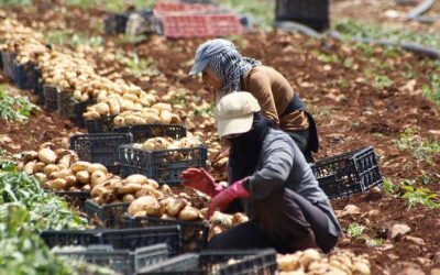 As wars spread, the global food system unravels