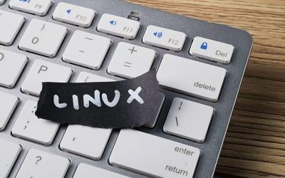 Linux, 35 de ani: De la student la regele invizibil al lumii digitale