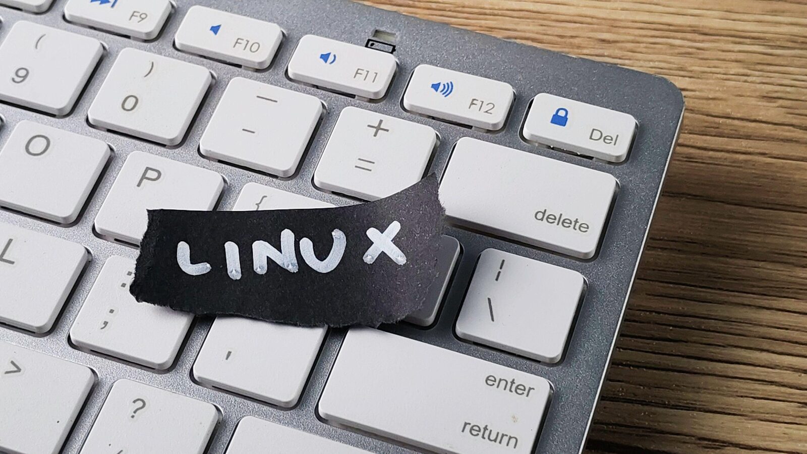 Linux, 35 de ani: De la student la regele invizibil al lumii digitale