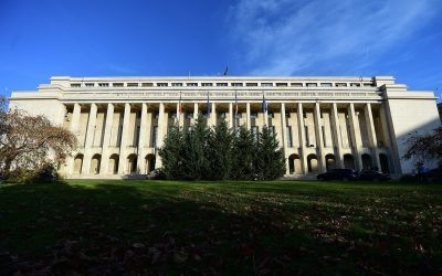 Ședință vitală: Privatizarea Economiei în vizor joi