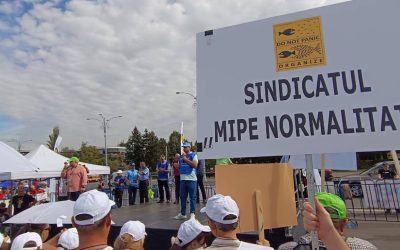 MIPE: Sindicat denunță amânări la Legea salarizării