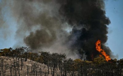 incendii in franta
