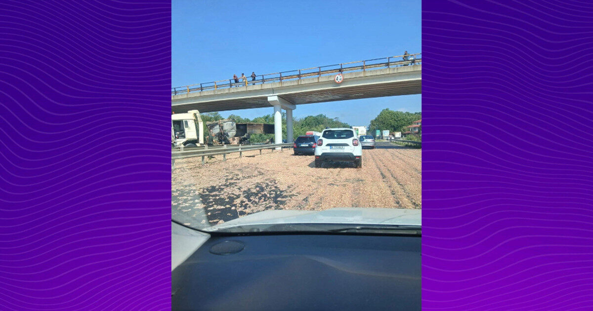 Haos pe A1 București–Pitești: un TIR încărcat cu carne de pui a lovit un picior de pod, iar marfa s-a împrăștiat pe șosea