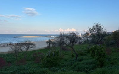 Vreme frumoasă și normală termic, în Dobrogea și pe litoral