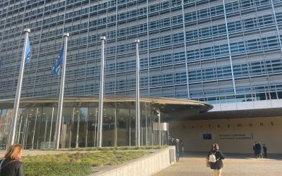 PNRR: S&D apără România de duble standarde PPE