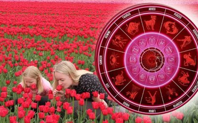Horoscop 9 August: Știi când să te oprești, nu-ți fie frică să-ntrebi