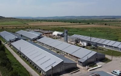 Roca Industry oprește plata pentru Workshop Doors. Auditul ridică semne de întrebare